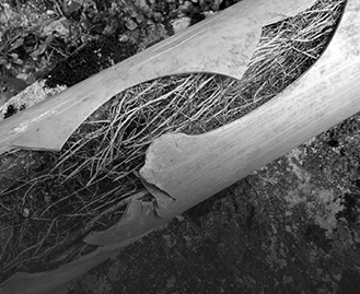 Blocked Drains Ferntree Gully